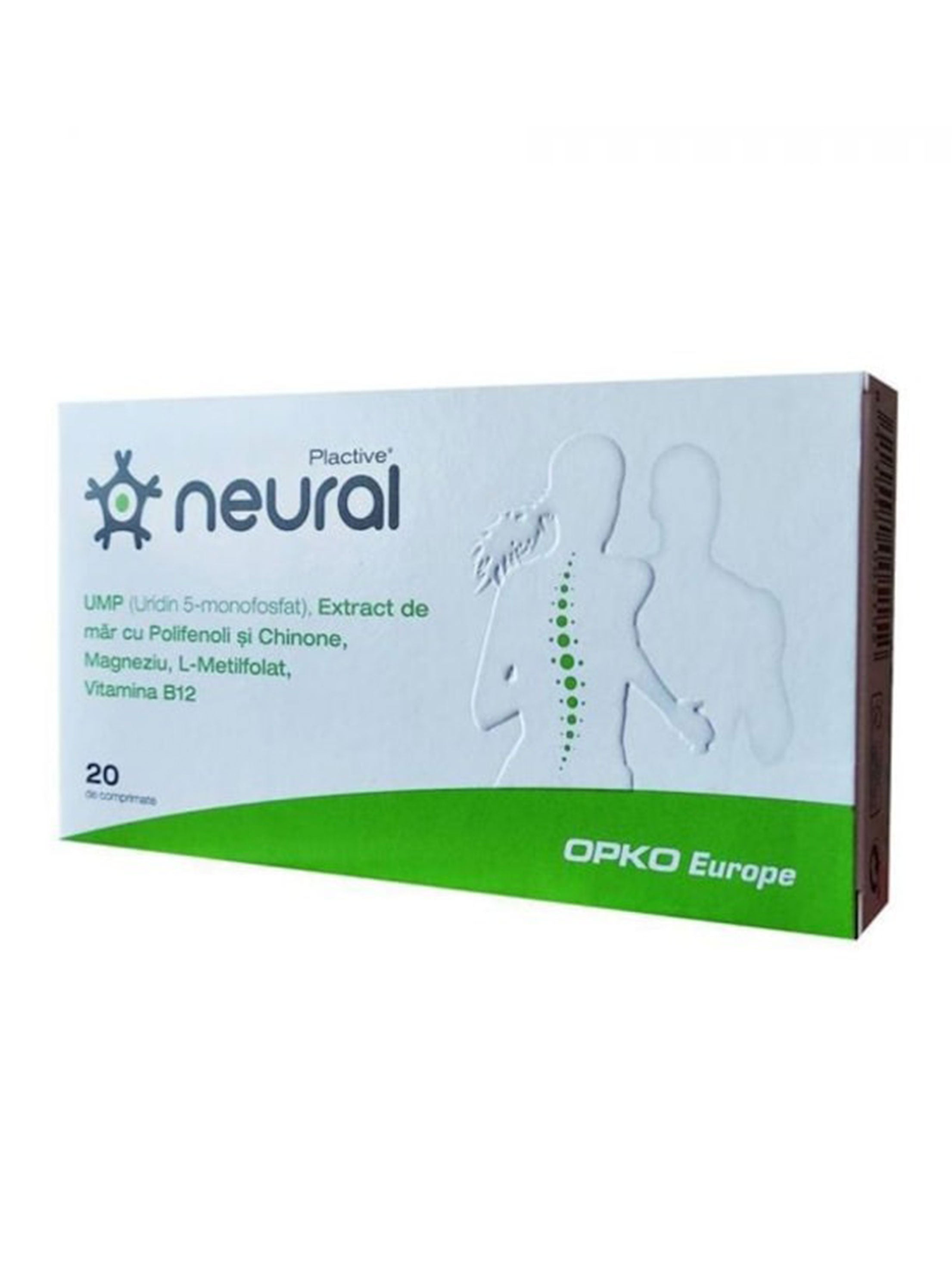 Image for Plactive Neural